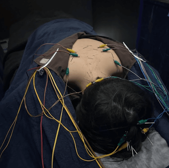 睡眠背部コース